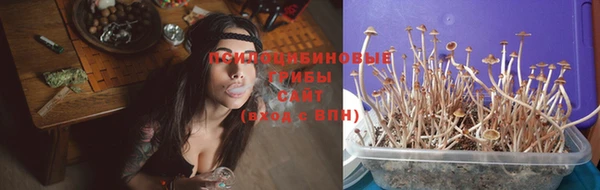 прущий лед Михайлов