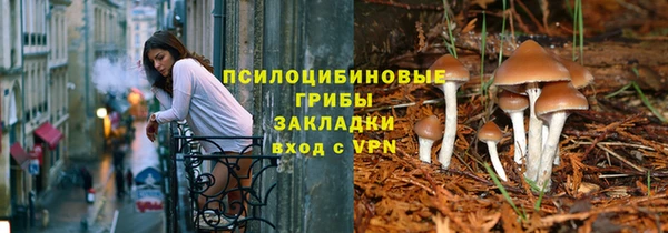 ГАЛЛЮЦИНОГЕННЫЕ ГРИБЫ Михайловск