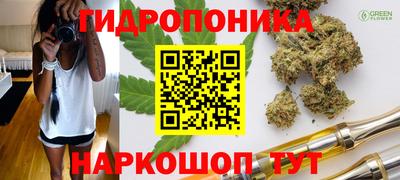 ГАЛЛЮЦИНОГЕННЫЕ ГРИБЫ Конаково