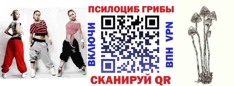 хочу наркоту  Новосибирск  Галлюциногенные грибы GOLDEN TEACHER 