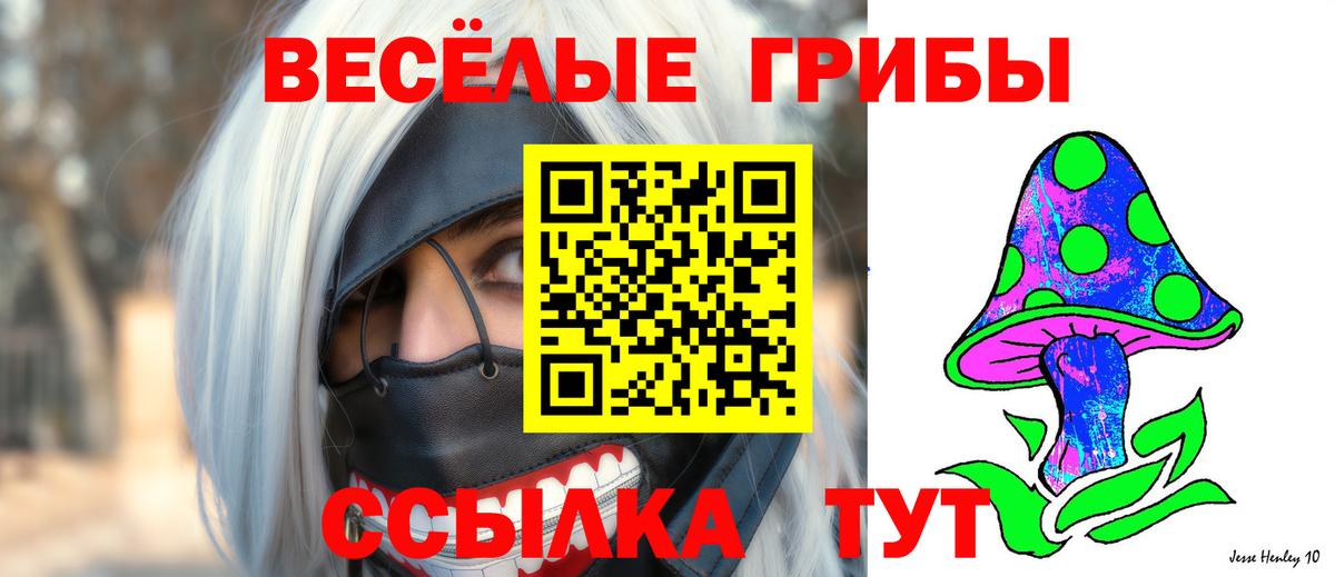 купить закладку  Вход с VPN  Новосибирск  Галлюциногенные грибы мицелий 