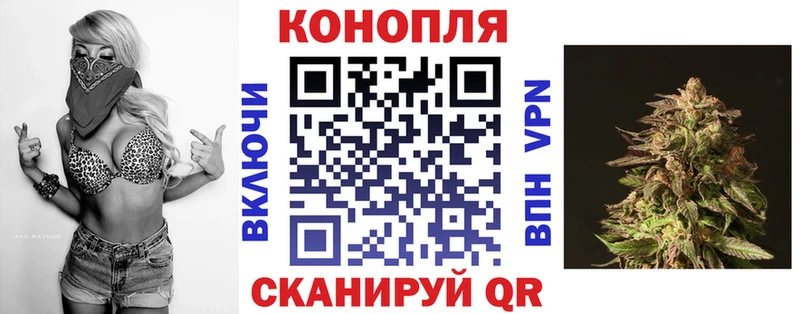 Бошки Шишки сатива  ОМГ ОМГ ONION  Новосибирск  как найти  