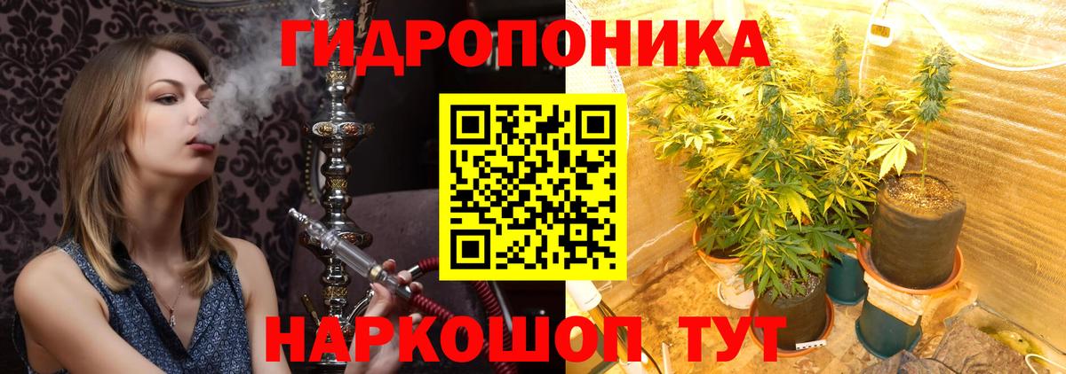 Шишки марихуана VHQ  Вход с VPN  Новосибирск  Канабис конопля  Канабис Amnesia  Канабис гибрид 